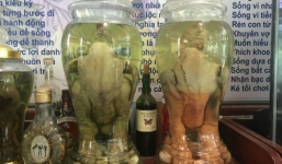 Cận cảnh bình rượu ngâm 'chúa' gà Đông Tảo trả trăm triệu không bán