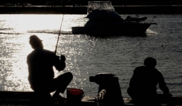 May mắn sống sót sau khi bị cá kiếm khủng kéo xuống biển 6 giờ đồng hồ