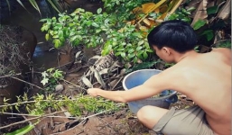 Video: Thanh niên câu cá không cần lưỡi câu ở miền Tây