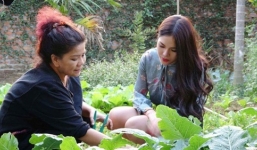 Cận cảnh vườn rau xanh tự trồng của NSND Thanh Hoa