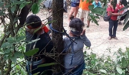 Bị trói vào cây có đầy kiến độc và tử vong vì cáo buộc ăn cắp ô tô