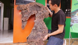 Chi hàng chục triệu đồng mua nấm linh chi 'khủng' có hình bản đồ Việt Nam