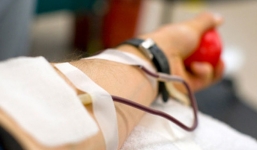 Bộ Y tế bác phương án hiến máu bắt buộc 1 lần/năm