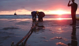 Cáp quang biển AAG gặp sự cố ngay đầu năm mới