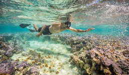 Lần đầu công bố ảnh Obama lặn ngắm san hô ở Thái Bình Dương