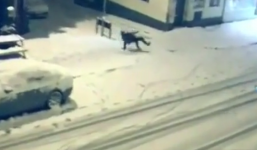 Góc phố 'bí ẩn' ở Anh khiến ai đi qua cũng trượt ngã 