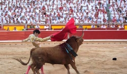 Hãi hùng cảnh bò tót vật ngã, cưỡi lên người nữ đấu sĩ