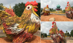 Xuất hiện cặp gà 'khủng' cao 2 m ở Quảng Ngãi