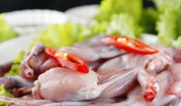 Cặp vợ chồng tử vong sau khi ăn thịt cóc