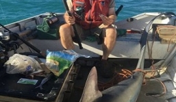 Cá mập 'khủng' 3,2m bất ngờ nhảy lên thuyền câu ngư dân