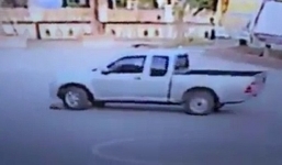 Người đàn ông cán chết chó khi vừa bước chân khỏi chùa gây phẫn nộ