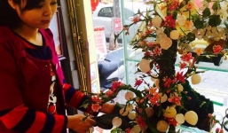 Cây đào “sinh” ra từ đá quý, đại gia trả hơn 100 triệu không bán