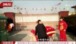 Video: Đám cưới đón dâu bằng 'vua lợn' ở Trung Quốc