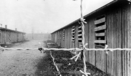 Những nghiên cứu khoa học kinh hoàng trên cơ thể con người