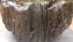 Phát hiện khối gỗ ngọc am hóa thạch, đại gia trả trăm triệu không bán