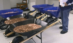 Hy hữu người đàn ông đẩy 725 kg tiền xu để đi đóng thuế