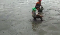 Dân Sài Gòn tát ao, chích điện bắt cá mỏi tay