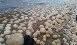 Hàng trăm quả cầu băng phủ kín hồ tại Mỹ