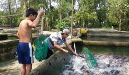 Video: Phóng sinh cả thuyền cá trê ở miền Tây