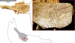 Phát hiện kinh ngạc: 24.000 năm trước con người đã đến Bắc Mỹ