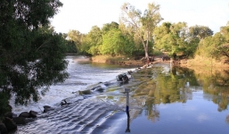 Đi bộ qua sông, người đàn ông bị cá sấu cắn chết