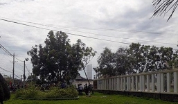 Bình Thuận: Phát hiện thi thể phụ nữ chết bất thường trong bụi cây