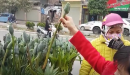 Clip lật tẩy chiêu bán 'lan tài lộc' dởm chưng Tết