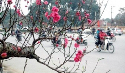 Diễn biến mới nhất về tình hình thời tiết Tết Nguyên đán 2017