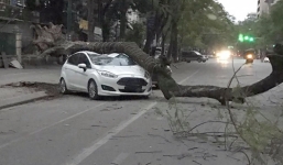 Hà Nội: Cây cổ thụ đổ đè bẹp ô tô trên phố Lý Thường Kiệt