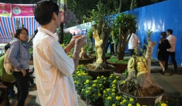 Video cận cảnh cây kiểng điêu khắc giá tiền triệu ở Sài Gòn