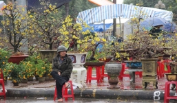 Chủ tịch tỉnh Quảng Ngãi viết thư kêu gọi mua hoa Tết giúp dân