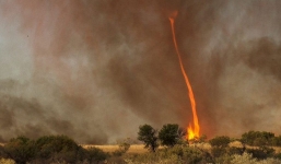 Video vòi rồng lửa cao hơn 900m hình thành từ đám cháy ở Australia
