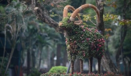 Hà Nội lần đầu tiên có 12 con giáp khổng lồ bằng hoa lập thể