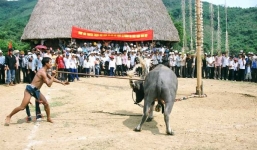 Những lễ hội hiến sinh ám ảnh nhất tại Việt Nam