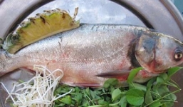 Những món ăn 'đen đủi' nhiều người tránh xa trong ngày Tết