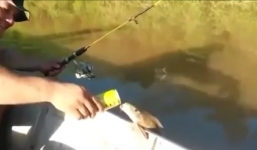 Video: Kinh ngạc cảnh cá nhảy lên thuyền đề uống bia