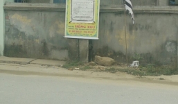 Hải Phòng: Điều tra nghi án cháu nội 'ngáo đá' sát hại bà ngày Tết