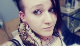 Con trăn mắc kẹt trong lỗ xỏ khuyên tai của chủ