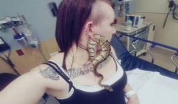 Trăn mắc kẹt trong lỗ khuyên tai của cô gái