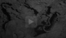 Video: Rợn người rắn độc treo hang Kantemo