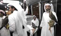 Chim quý của đại gia Ả Rập ngồi khoang máy bay hạng nhất