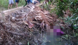 Phi công sát hại người tình rồi uống thuốc sâu tự tử