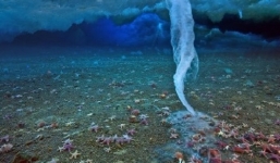 Cột băng 'chết chóc' hóa băng mọi vật trong nháy mắt