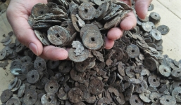 Đào được hũ sành cổ chứa đầy tiền xu trong ngày Thần tài