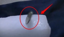 Lý giải hiện tượng đồng xu run bần bật trên khối băng 