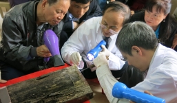 Thông tin mới vụ tìm thấy mộ Trạng Trình Nguyễn Bỉnh Khiêm