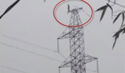 Thót tim nam thanh niên vắt vẻo trên nóc cột điện cao thế