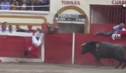 Video: Hai con bò tót sổng chuồng húc văng đấu sĩ và khán giả