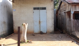 Giết bạn nhậu giữa đêm khuya vì mâu thuẫn nhỏ