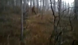Sinh vật lạ nghi người tuyết trong rừng Ukaine gây tranh cãi dân mạng